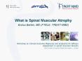 Workshop on Clinical Outcome Measures and endpoints for efficacy assessment in spinal muscular atrop