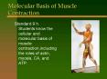 Molecular Basis of Muscle Contraction