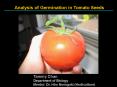 Analysis of Germination in Tomato Seeds