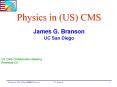 Physics in US CMS