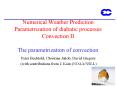Numerical Weather Prediction Parametrization of diabatic processes Convection II The parametrization