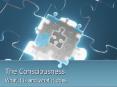 The Consciousness