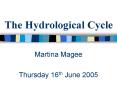 The Hydrological Cycle