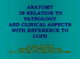 ANATOMY IN RELATION TO PATHOLOGY AND CLINICAL ASPECTS WITH REFERENCE TO COPD