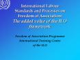International Labour Standards and Processes on Freedom of Association: The added value of the ILO f