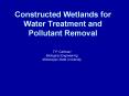 Constructed Wetlands for Water Treatment and Pollutant Removal