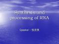 Synthesis and processing of RNA