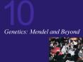 Genetics: Mendel and Beyond