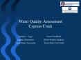 Water Quality Assessment Cypress Creek