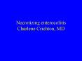 Necrotizing enterocolitis Charlene Crichton, MD