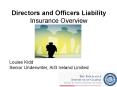 Directors and Officers Liability Insurance Overview