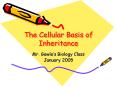 The Cellular Basis of Inheritance