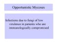 Opportunistic Mycoses