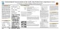 Immunological Characterization of the GroELLike Protein from Campylobacter rectus