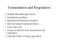 Fermentation and Respiration