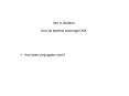 1' How does conjugation work