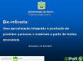EUCALYPTUS GLOBULUS WOOD EXTRACTIVES: COMPOSITION AND FATE DURING PULPING AND BLEACHING