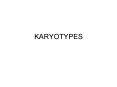 KARYOTYPES