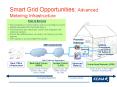 Smart Grid Opportunities: Advanced Metering Infrastructure