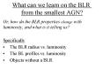 What can we learn on the BLR from the smallest AGN
