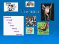 Taxonomy