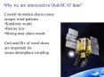 Why we are interested in QuikSCAT data