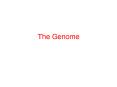 The Genome