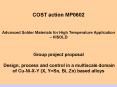 COST action MP0602 Advanced Solder Materials for High Temperature Application HISOLD Group project p