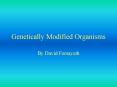 Genetically Modified Organisms