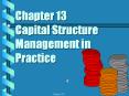 Chapter 13 Capital Structure Management in Practice