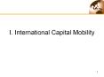 I' International Capital Mobility