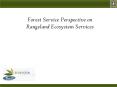 Forest Service Perspective on Rangeland Ecosystem Services