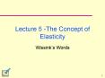 Lecture 5 The Concept of Elasticity