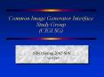 Common Image Generator Interface Study Group CIGI SG