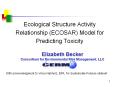Ecological Structure Activity Relationship ECOSAR Model for Predicting Toxicity