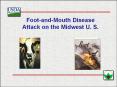 FootandMouth Disease Attack on the Midwest U' S'