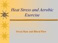 Heat Stress and Aerobic Exercise