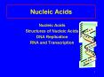 Nucleic Acids