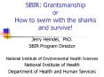 SBIR: Grantsmanship or How to swim with the sharks and survive