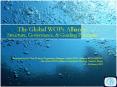 The Global WOPs Alliance: Structure, Governance,