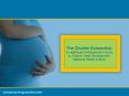 The Choline Connection A Healthcare Professionals Guide to Choline, Fetal Development, Maternal Heal