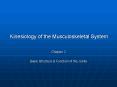 Kinesiology of the Musculoskeletal System