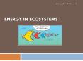 Science  9 - Energy Flow in Ecosystems