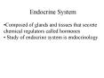 Composed of glands and tissues that secrete chemical regulators called hormones Study of endocrine s