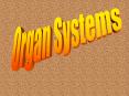 Organ Systems