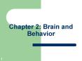 Chapter 2: Brain and Behavior