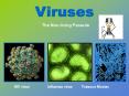 Viruses
