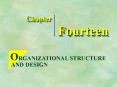 ORGANIZATIONAL STRUCTURE