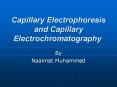 Capillary Electrophoresis and Capillary Electrochromatography