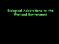 Biological Adaptations to the Wetland Environment